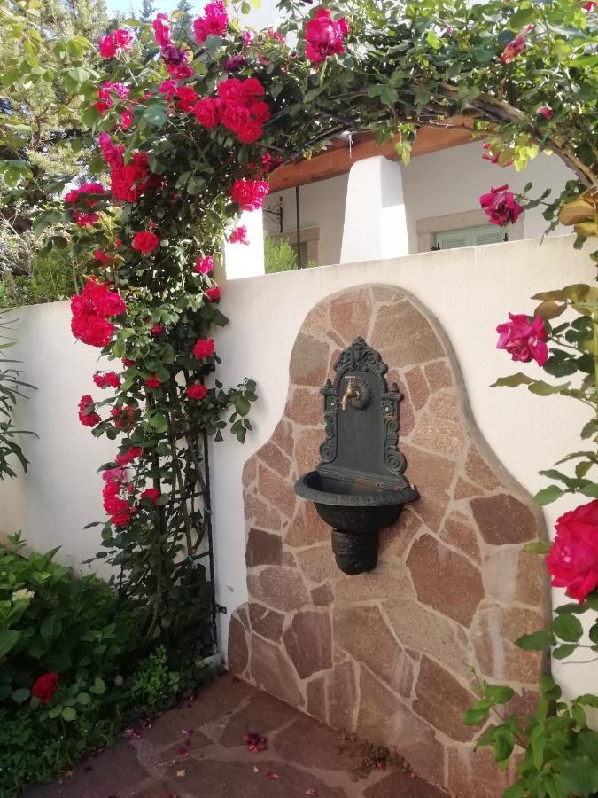 Casa Vacanze Villa Rosa Cala Gonone Kültér fotó