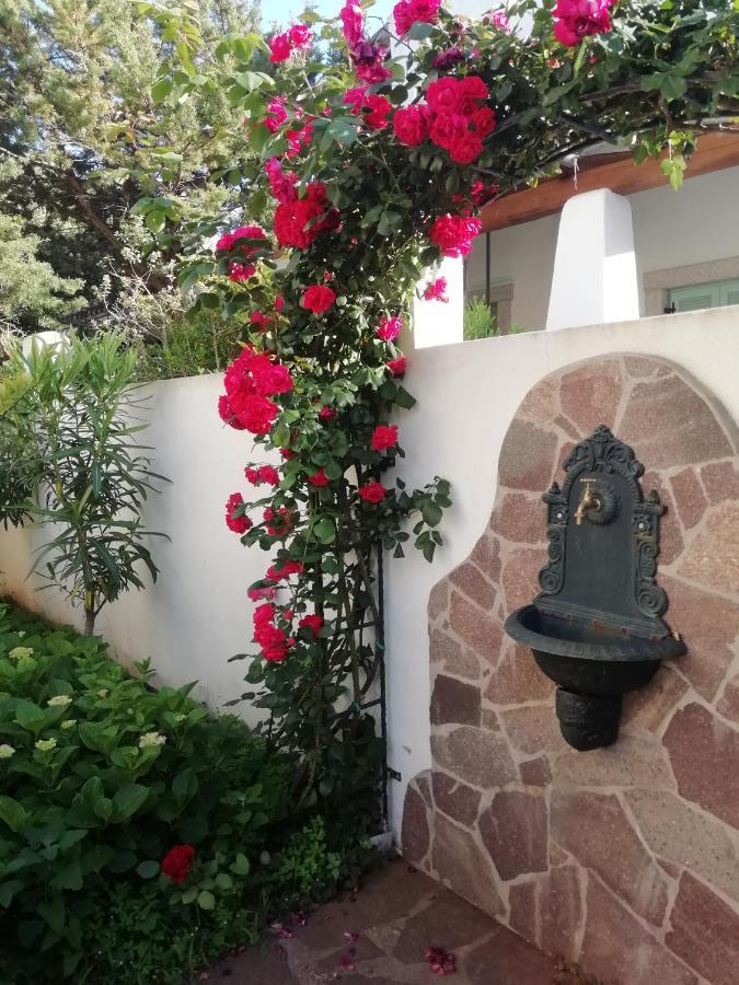 Casa Vacanze Villa Rosa Cala Gonone Kültér fotó