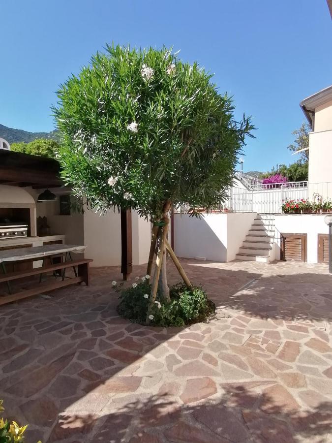 Casa Vacanze Villa Rosa Cala Gonone Kültér fotó